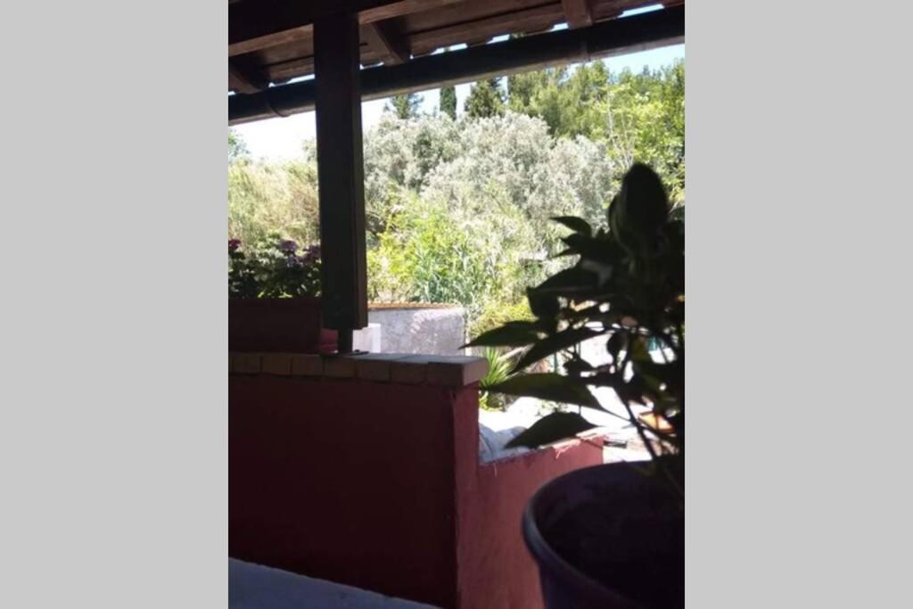 Green Hill Studio Corfu Town 외부 사진