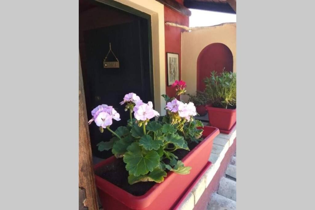Green Hill Studio Corfu Town 외부 사진